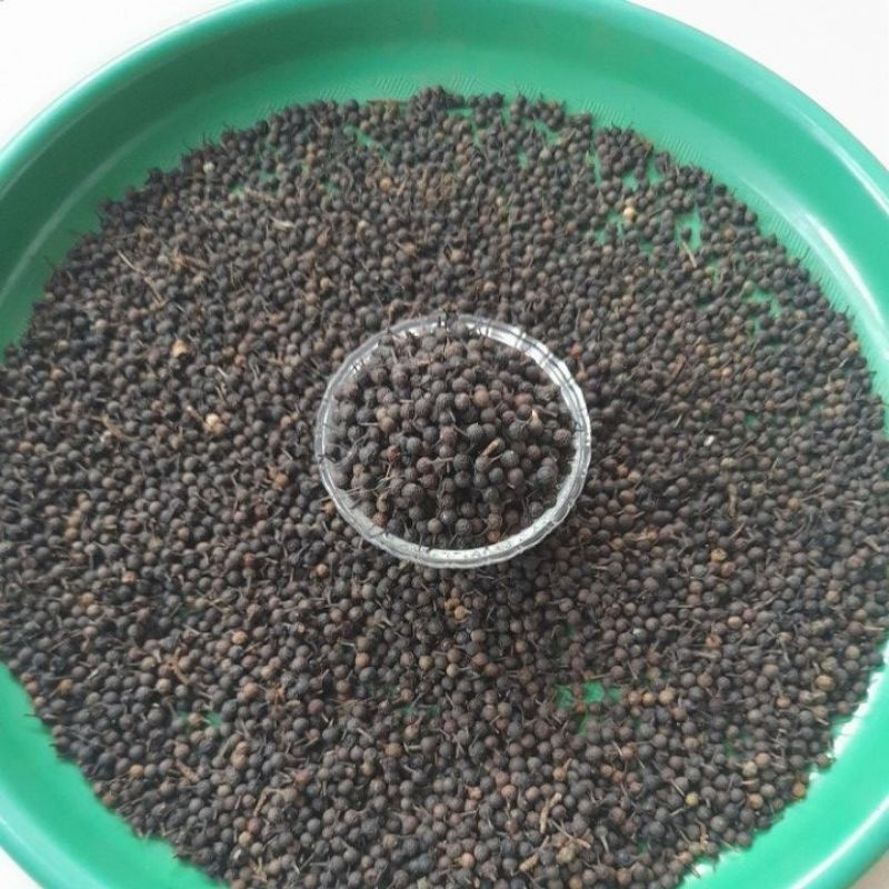 

Paket 5 kg Kemukus Organic/Obat Herbal Kemukus Kualitas Terbaik