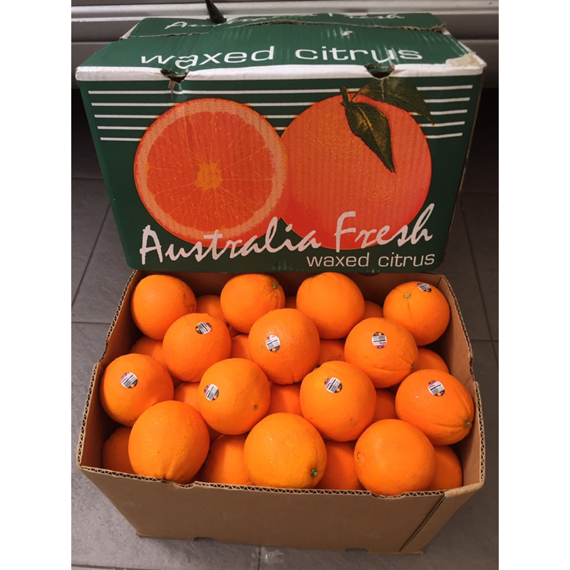 

Jeruk Sunkis Navel Australia 1 Dus (18 KG) Fresh Import