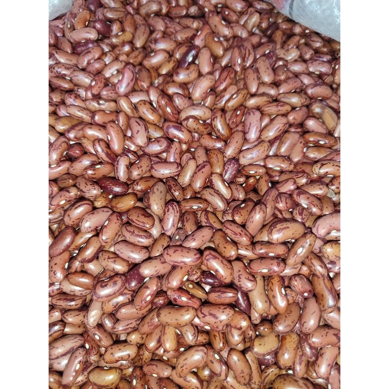 

KACANG MERAH 1KG