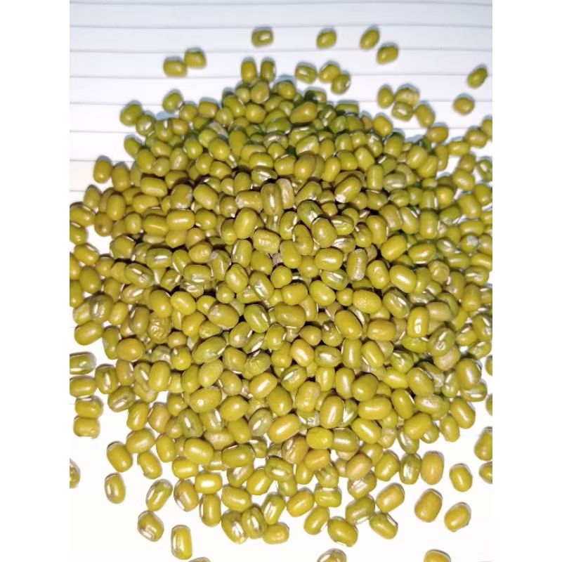 

KACANG HIJAU IMPORT 1 KG