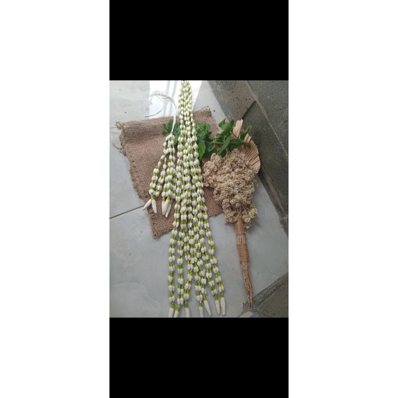 TIBODO SUNDA PUTRI MELATI IMITASI MIRIP ASLI