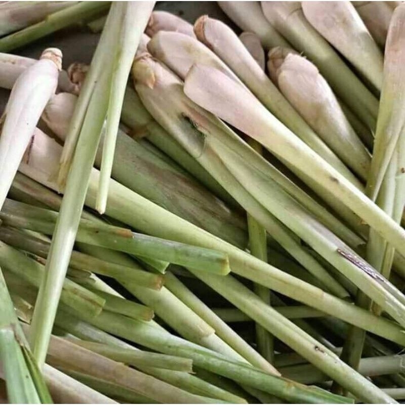 serai 1kg