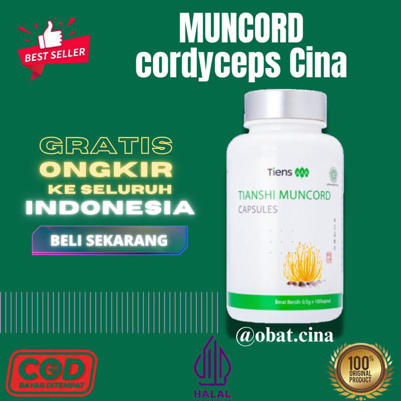 MUNCORD TIENS | OBAT CINA CORDYCEPS