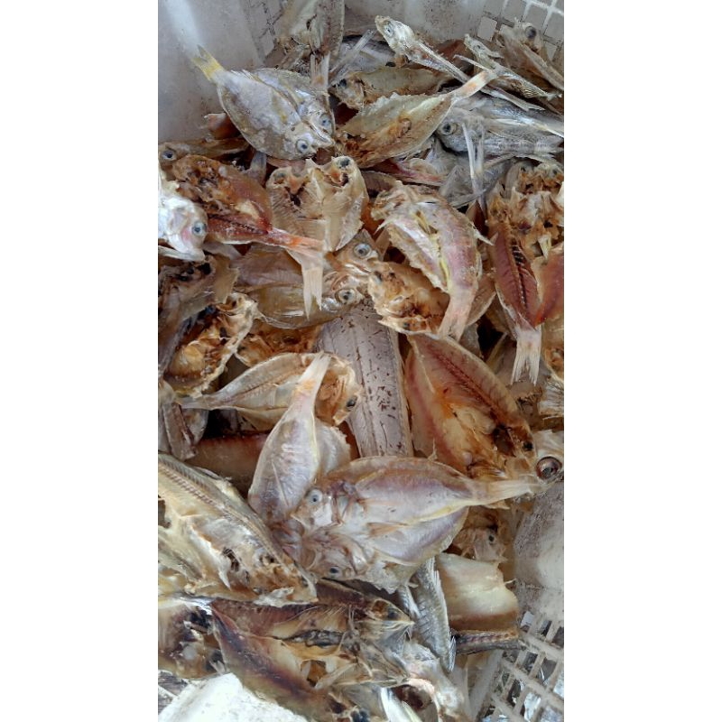 

ikan asin ( aneka ikan asin ) 1kg ( 1000gr)