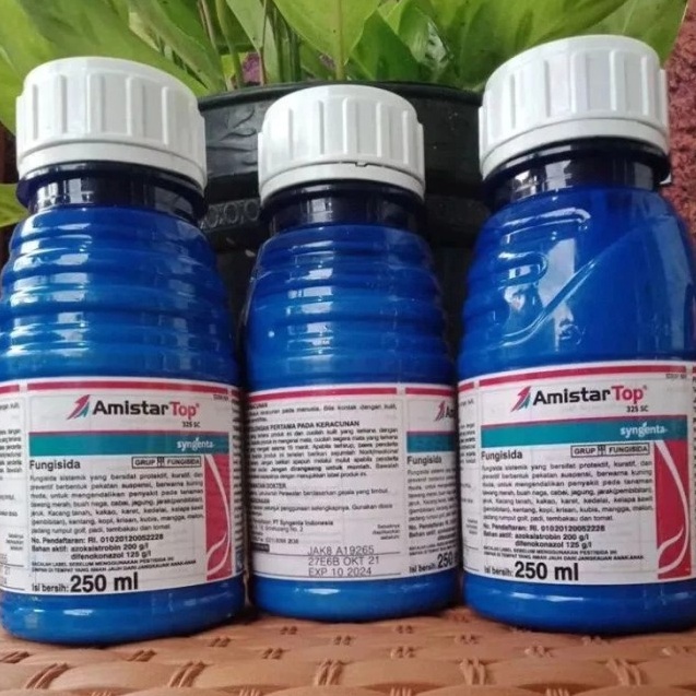 

Terlaris amistartop 25 ml