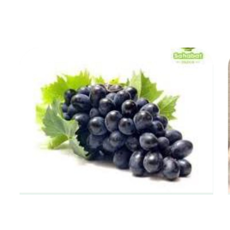 

BUAH ANGGUR /Pasar Makassar/hanya pengiriman express