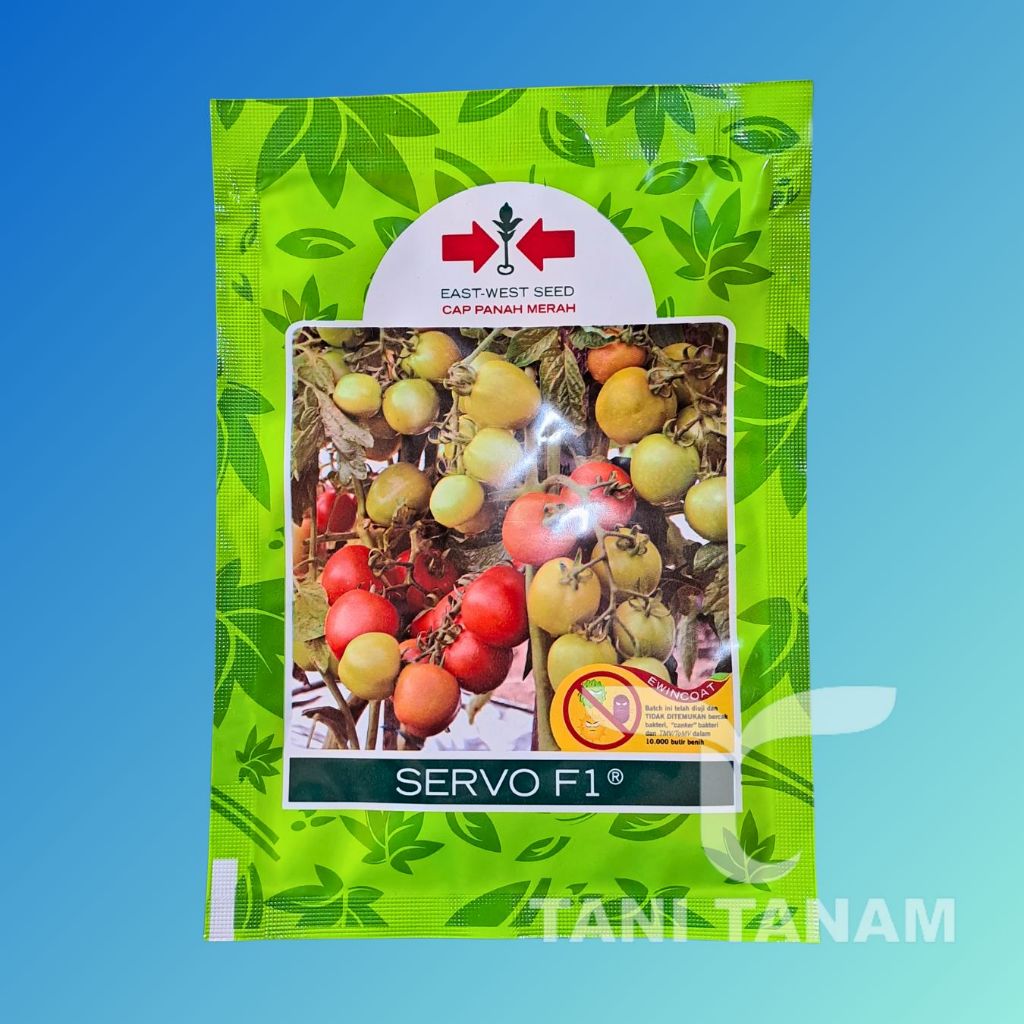 BENIH TOMAT SERVO F1 CAP PANAH MERAH