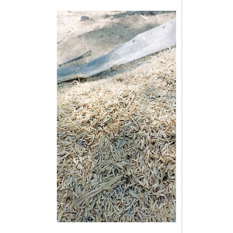 Merang/kulit padi kering (1kg)