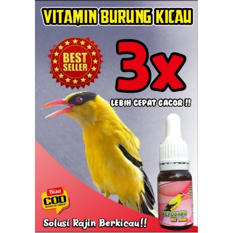 vitamin premium burung kepodang ✅ , 100 % josss    kepodang vit voice penggacor burung kepodang baha