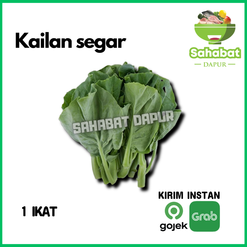 

Baby Kailan 1 ikat / Sayur Segar Kailan