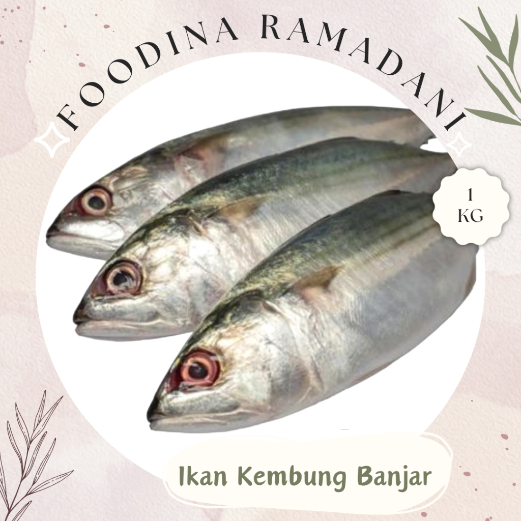 

IKAN KEMBUNG Banjar - Mackerel Fish Fresh [ Berat 1.000gr ] Harga Per KG