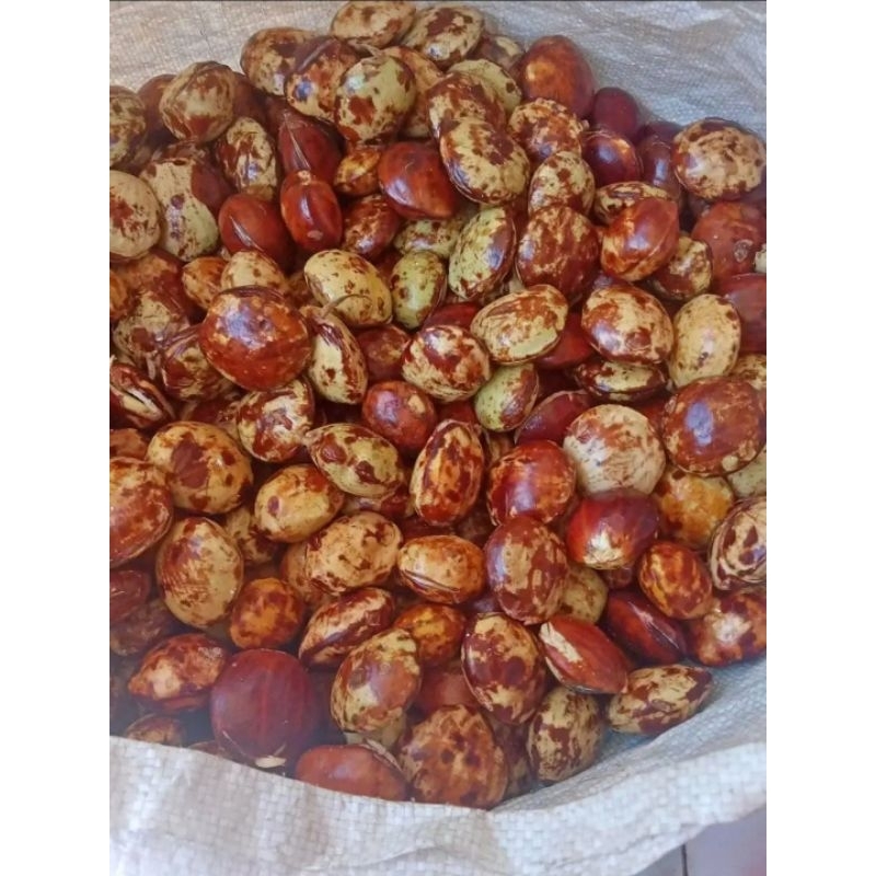 

JENGKOL / JENGKI