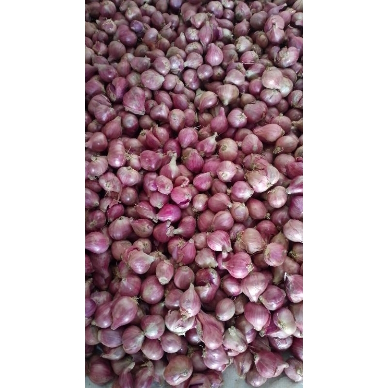 

bamer bawang merah 1 kg