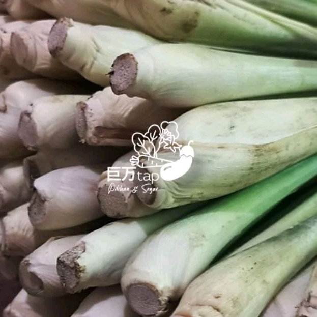 

SEREH BANGKOK SEGAR DAN HEMAT KYOMANTAP 250 GRAM - 500 GRAM