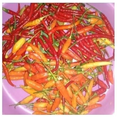 

MIX CABE RAWIT, CABE MERAH BESAR (100gr, 250 gr)