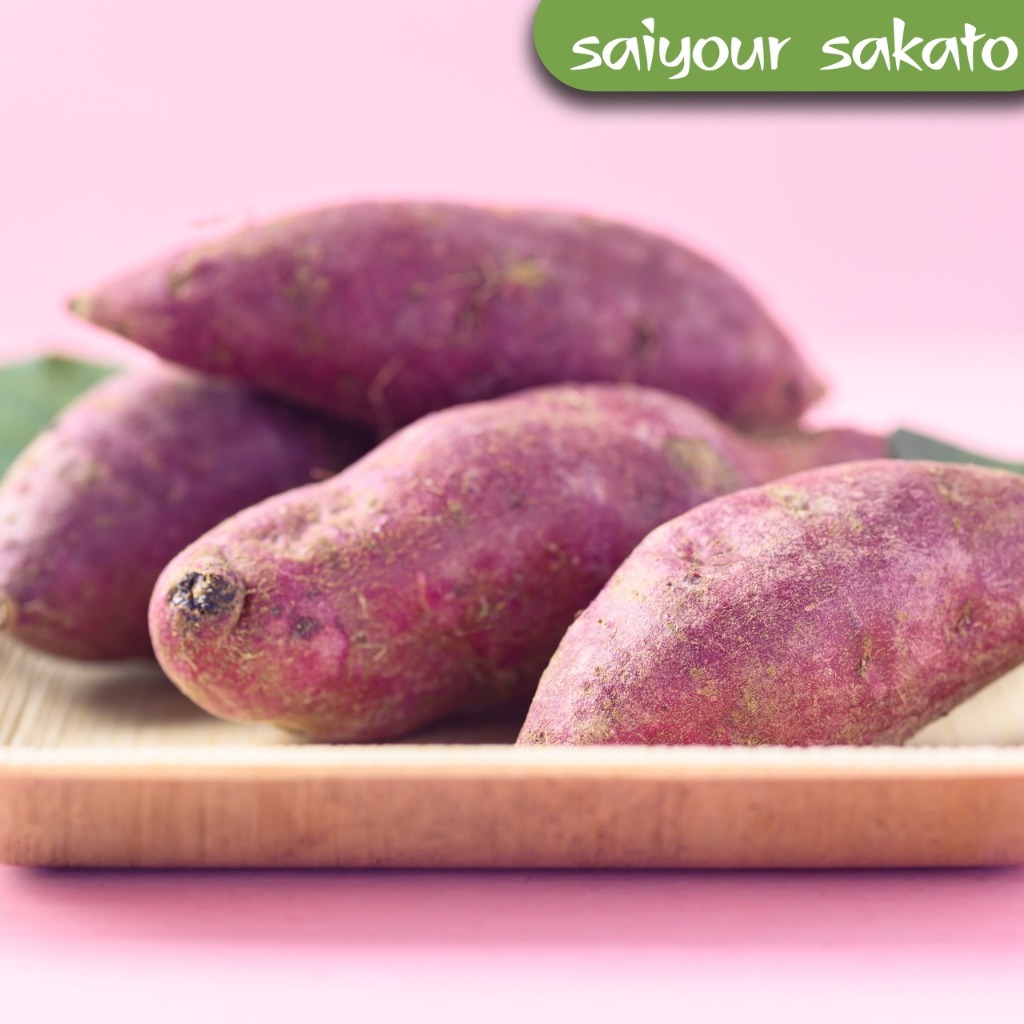 

Mantang Ubi Umbi Ungu 900-1000gr - Saiyour Sakato