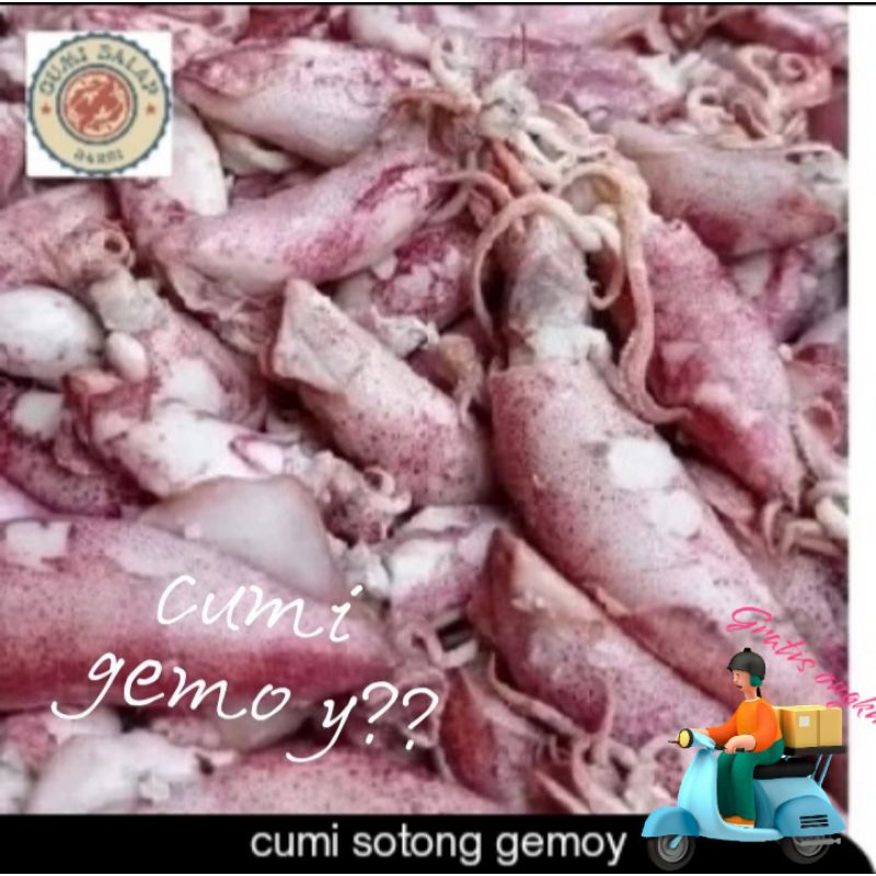 

ikan cumi sotong,cumi berkualitas