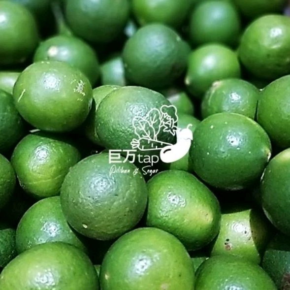 

BUAH JERUK NIPIS SEGAR DAN HEMAT KYOMANTAP 250 GRAM - 500 GRAM