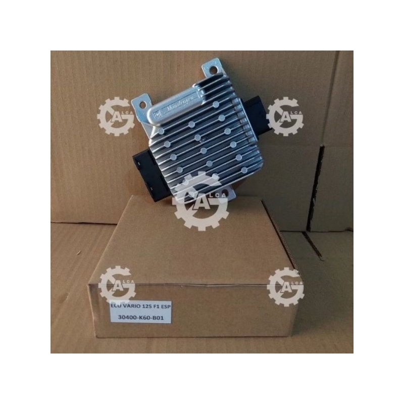 ECU VARIO 125 FI ESP (K60)