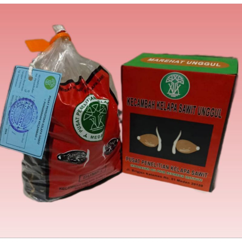 bibit sawit unggul marehat dumpy