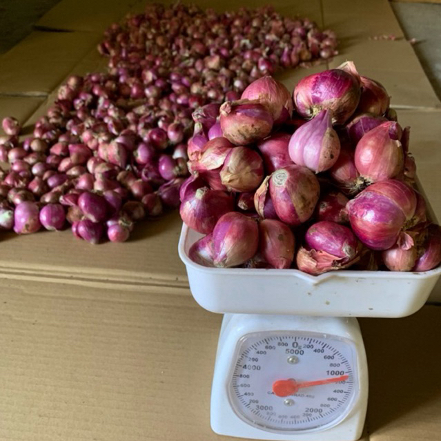 

Bawang Merah Lokal 1kg