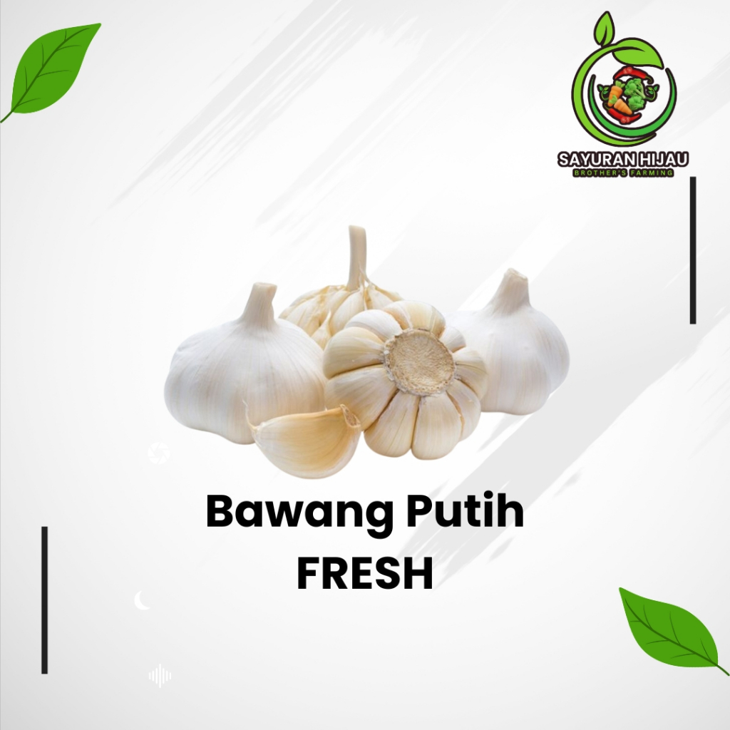 

Bawang Putih Kating Super Fresh Berkualitas 250 Gr
