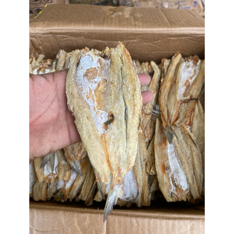 

ikan asin bloso/gabus laut grade A = 250g/500g/1kg best seller