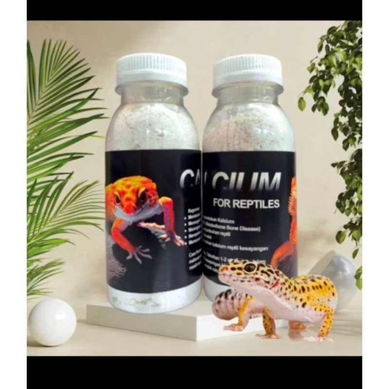 kalsium reptil untuk gecko,iguana,kura kura darat,breaded dragon kemasan 150gr