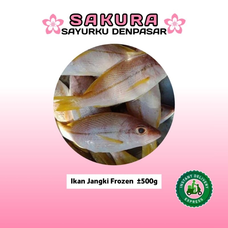 

Ikan Jangki Frozen ±500g - SAKURA