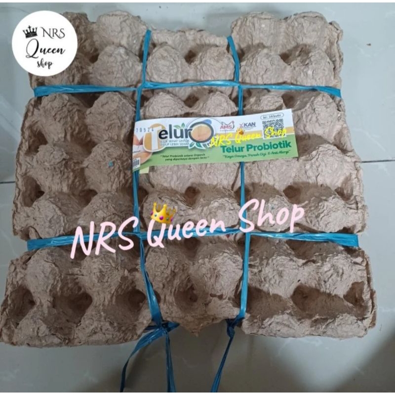 

TELUR PROBIOTIK OMEGA 3 1 PIRING