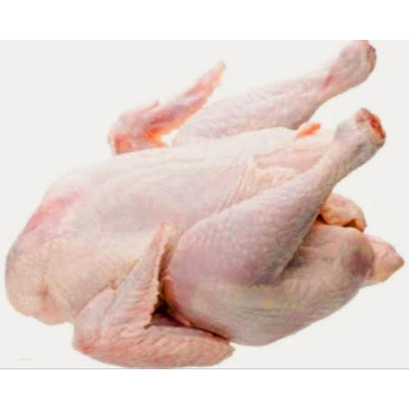 

BABY CHICKEN WHOLE 600GR