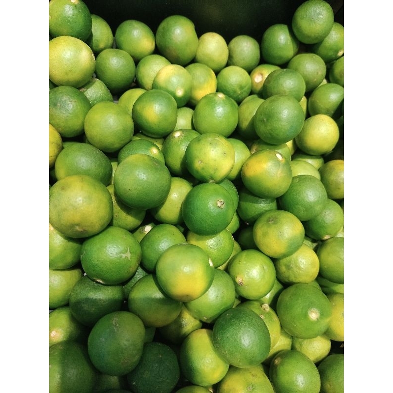 

Jeruk nipis 1 ons / 100 gr