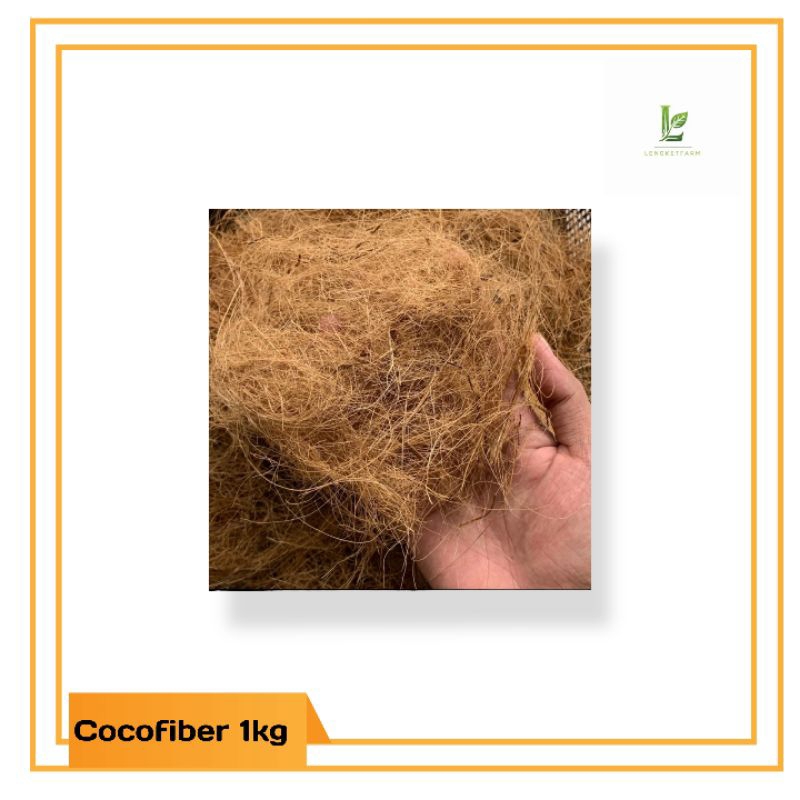 Cocofiber | Serabut kelapa | 1kg