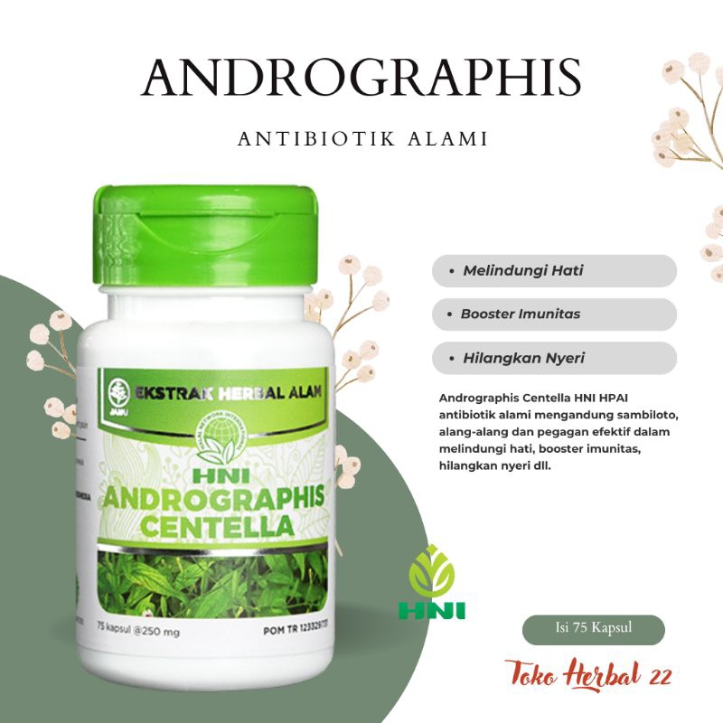 

Andrographis Centella Herbal HNI Antibiotik Alami Penurun Demam Melindungi Hati