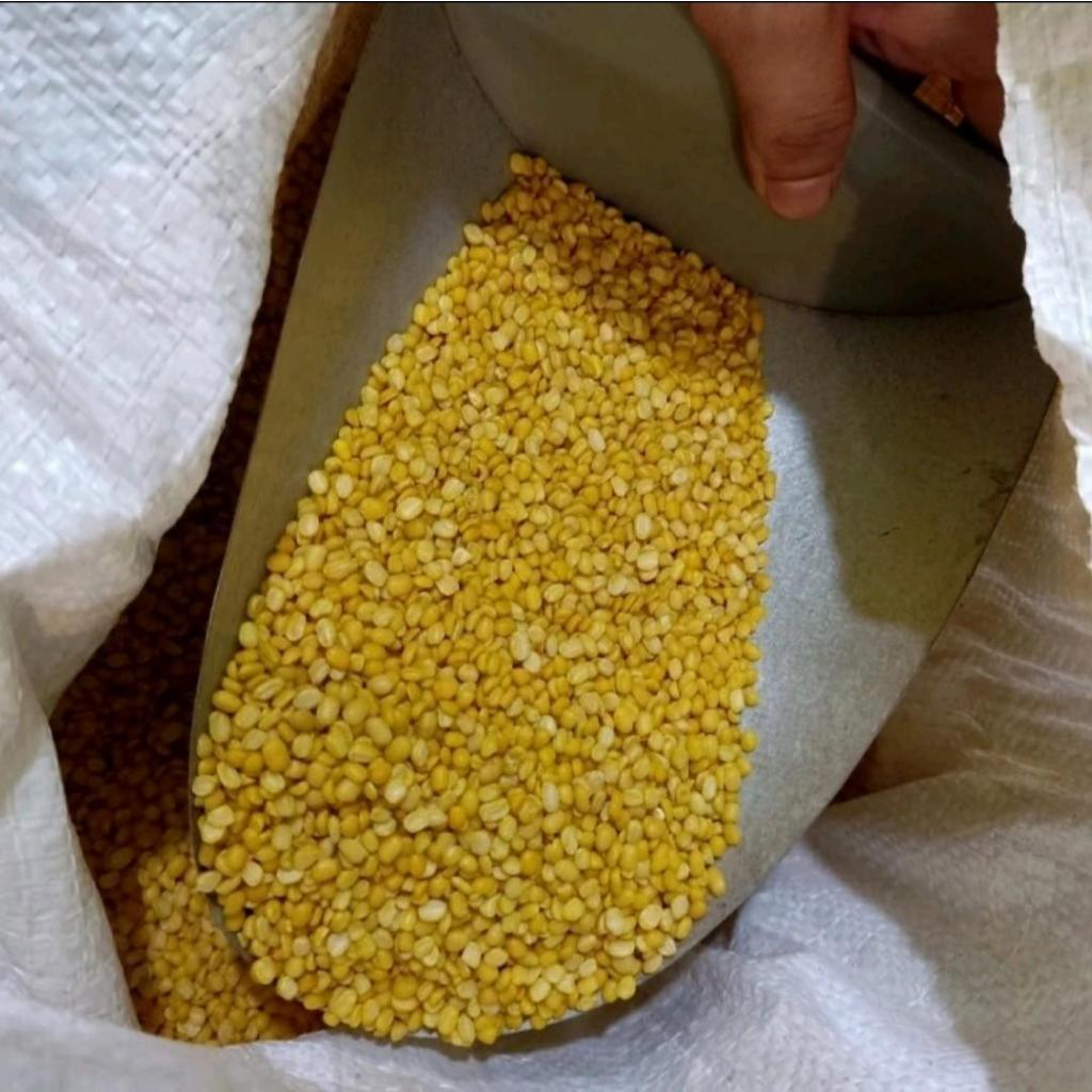 

Kacang Hijau Kupas Organik Segar Masakan Mung Beans 1 Kg