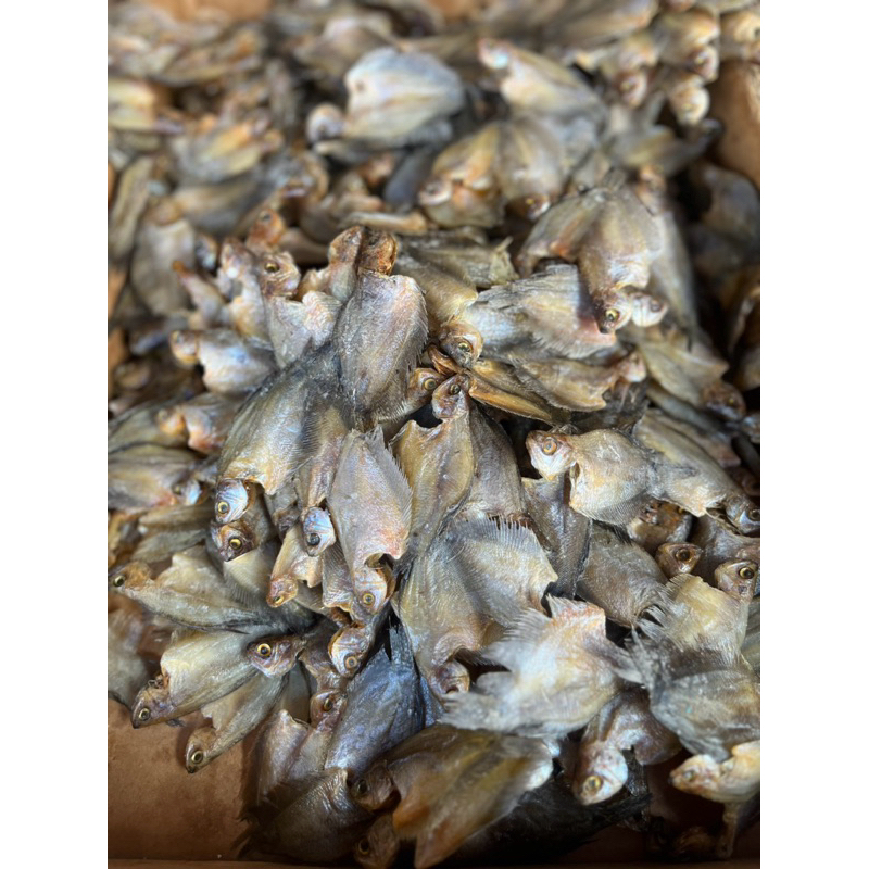 

Ikan Asin Sapek Sepat Kecil