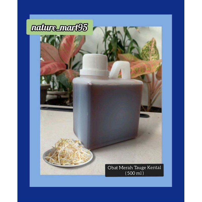 Obat Merah Murni khusus tauge ( 500 ml ) |                                                ( Pemutih 