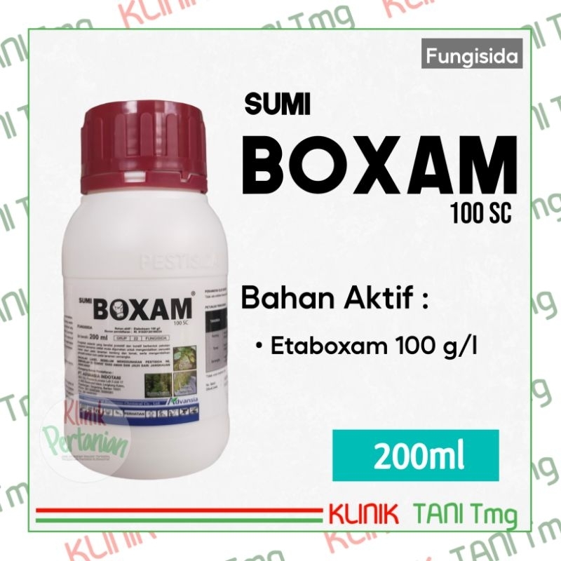 SUMI BOXAM 100SC - 200ml | FUNGISIDA SISTEMIK UNTUK PENYAKIT BUSUK BATANG | OBAT HAWAR DAUN | OBAT E