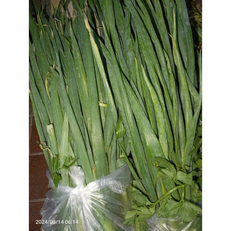 

Daun Bawang