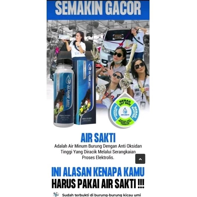 air sakti umi kasum penggacor burung murai original