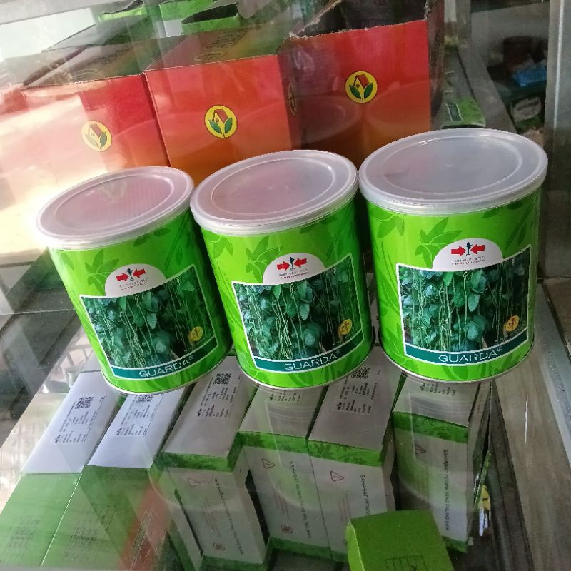 

Benih Kacang Panjang Guarda F1 (Nama baru dari Garda F1) Isi 500 Gram Kadaluarsa 2025 Cap Panah Merah