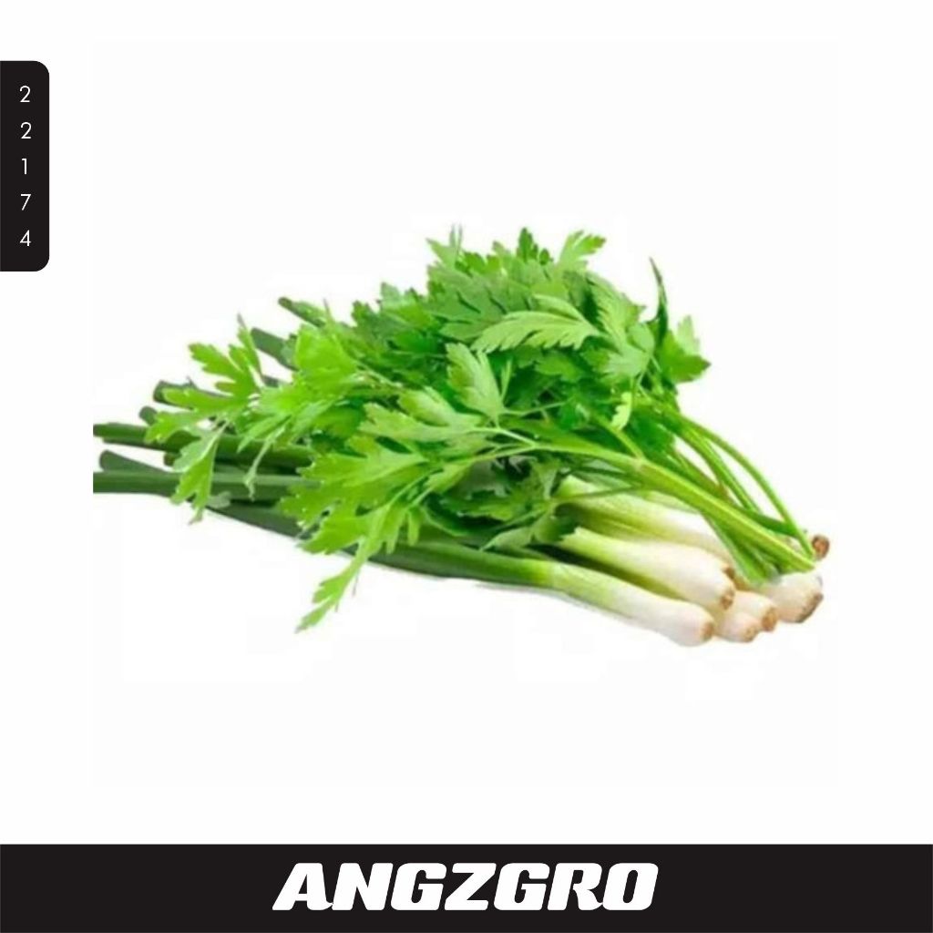 

Daun Prey dan seledri 100G Per Pack