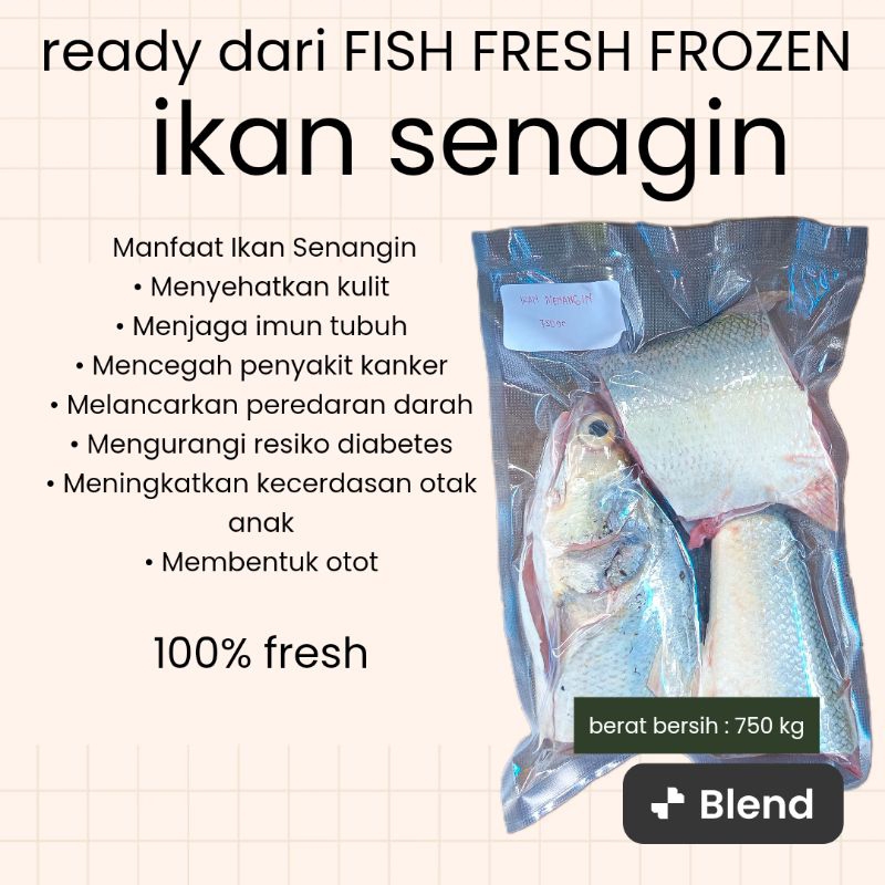 

IKAN SENAGIN FRESH FISH FROZEN BERAT BERSIH ± 750 gram