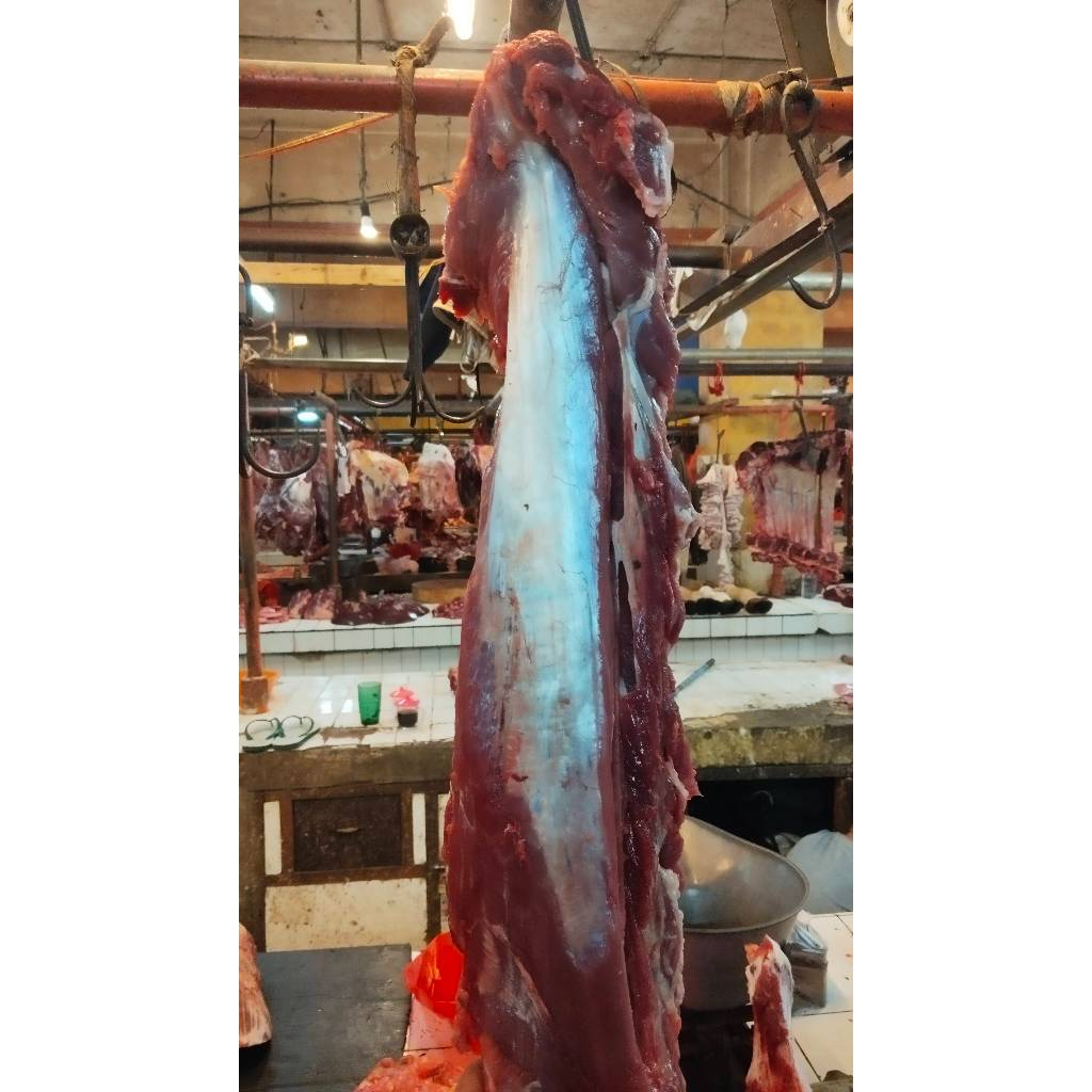 

Daging sapi Has Dalam/Tenderloin Fresh Lokal 500gr - 1kg