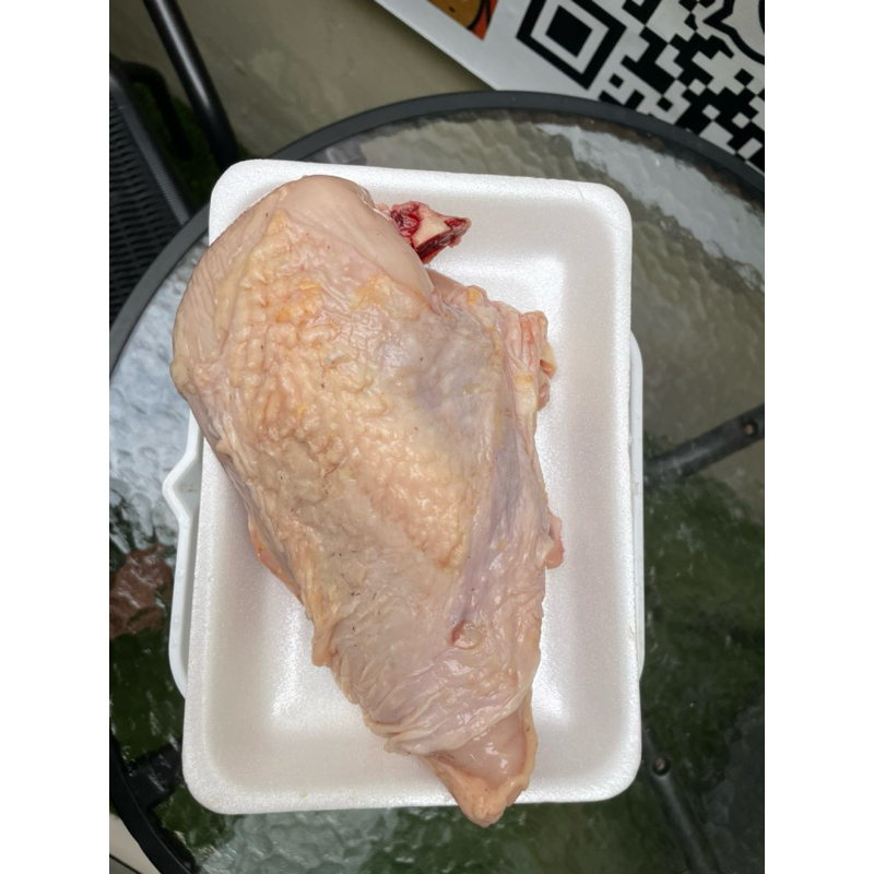 

DADA AYAM 500grm-1kg