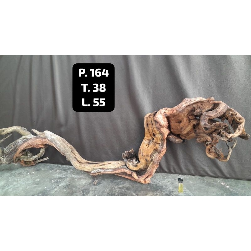 Kayu Aquascape - Kayu Santigi (Besar)