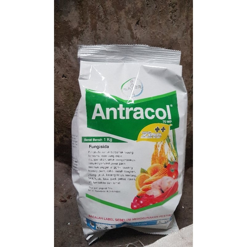fungisida antracol 1kg