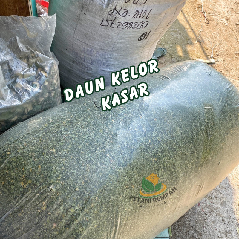 

(100gr) Daun Kelor Kering Super/Daun Kelor Kasar/Daun Teh Kiloan