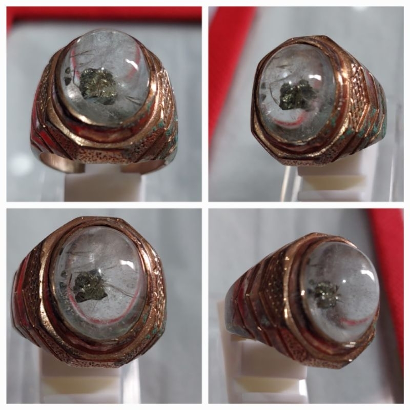 KECUBUNG TOP Kecubung Platina Asli Kalimantan