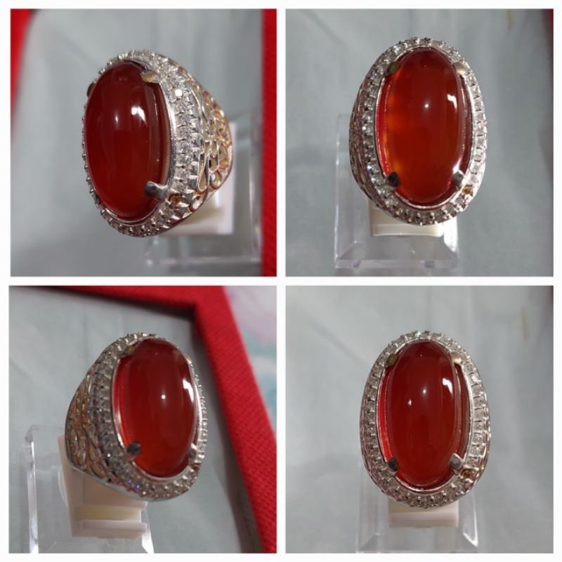 RAFLESIA Raflesia Asli Bengkulu